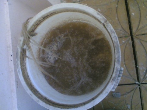 Hình 6 Thùng nuôi giá bám Hình 7 Bộ phận phân phối khí Hình 8 Máy sục khí 6