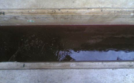 Hình 3 1 Vị trí lấy mẫu nước thải làm thí nghiệm 3 3 Chuẩn bị thí nghiệm 1