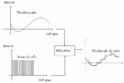 Đặc tuyến tần số trong quá trình này có kết quả từù các quá trình giữ các 2