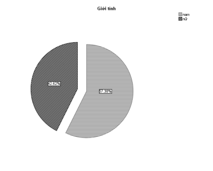 Hình 3 4 Biểu đồ mô tả mẫu sinh viên theo khối ngành học Hình 3 5 Biểu đồ 2