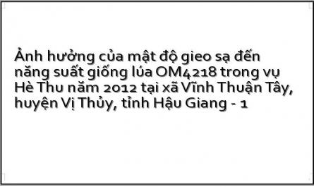Ảnh hưởng của mật độ gieo sạ đến năng suất giống lúa OM4218 trong vụ Hè Thu năm 2012 tại xã Vĩnh Thuận Tây, huyện Vị Thủy, tỉnh Hậu Giang - 1