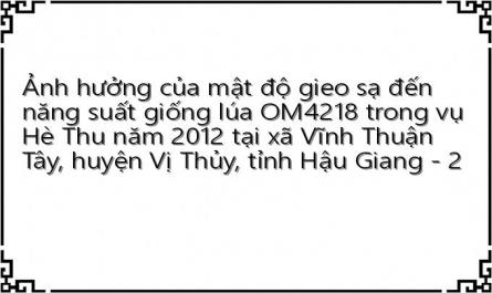 Ảnh hưởng của mật độ gieo sạ đến năng suất giống lúa OM4218 trong vụ Hè Thu năm 2012 tại xã Vĩnh Thuận Tây, huyện Vị Thủy, tỉnh Hậu Giang - 2