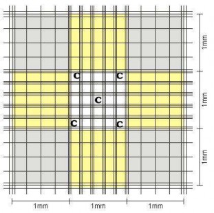 Hình vị trí đếm hồng cầu trên buồng đếm Neubauer Cách tính mật độ hồng 1