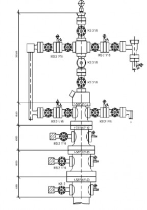 Hình I 2 5 Sơ đồ cây thông khai thác Hình I 2 6 Cây thông trên giàn 2 3 2 Cụm 4