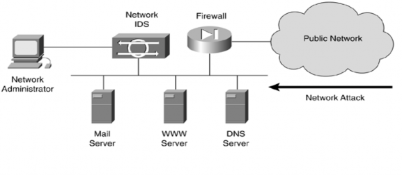 Hình 5 1 3 1Tổng quan về Network Based IDS Từ quan điểm về cấu trúc network based 6