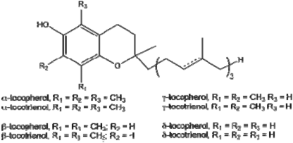Hình 2 2 α tocopherol Vitamin E có tác dụng như những chất chống oxi hóa antioxidant 2