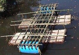 Hình 2 4 lồng tre nuôi cua 1 con lồng ở Ấn Độ theo NIOT Theo Keenan 1999 trên 3