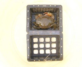 Hình 2 6 Lồng nuôi cua bằng tre và nhựa PP Viện Nghiên cứu Hải sản đã xây 2