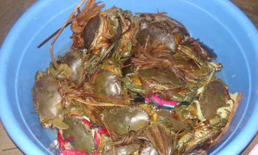 Hình 3 1 Cua dùng để bố trí thí nghiệm Đề tài được tiến hành nghiên cứu 3