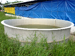 Hình 3 1 Nguồn nước sử dụng trong thí nghiệm Thức ăn sử dụng trong thí 1