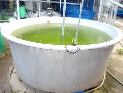 Hình 3 1 Nguồn nước sử dụng trong thí nghiệm Thức ăn sử dụng trong thí 2