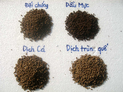 Hình 3 5 A Các chất dẫn dụ sử dụng trong thí nghiệm 2 1 Dịch cá thuỷ phân 3