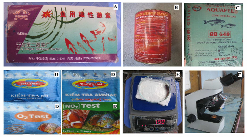 Ghi chú A hormon 17 α Methyltestosterone B thức ăn 40 đạm dùng trong 21 ngày 1