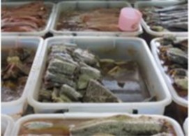 E Mắm cá lóc dạng cắt khúc f Mắm được làm bằng phụ phẩm cá lóc Hình 5