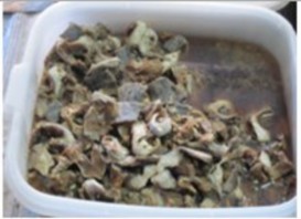 E Mắm cá lóc dạng cắt khúc f Mắm được làm bằng phụ phẩm cá lóc Hình 6