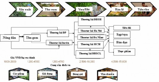 Hình 2 12 Chuỗi giá trị trái bơ ở Đắk Lắk GTZ 2009 Hình 2 13 Chuỗi giá 2