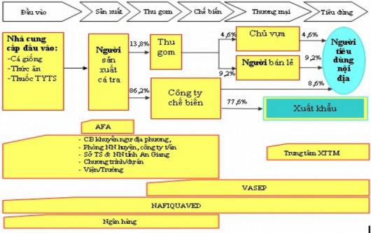 Hình 2 13 Chuỗi giá trị cá tra basa ở An Giang Vò Thị Thanh Lộc 2008 Theo nhận 3