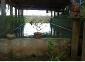 C Mô hình nuôi ao nổi d Mô hình nuôi lồng bè e Mô hình nuôi ao đất f Mô hình 10