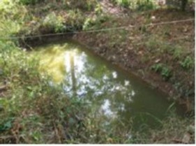 A Ao hộc nuôi cá bố mẹ b Thùng xốp để cá bố mẹ đẻ c Ao ương cá 2