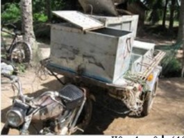 G Vận chuyển cá lóc bằng xe kéo h Vận chuyển cá lóc bằng xe tải Hình 4 31 7