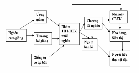 Hình 2 1 Chuỗi ngành hàng nghêu ở ĐBSCL Lê Xuân Sinh 2007 2 1 2 Vai trò của 1