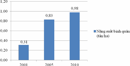 Hình 4 8 Năng suất bình quân toàn vùng ĐBSCL 4 7 1 2 Hoạt động sản xuất kinh 2