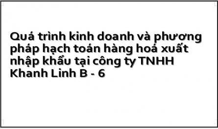 Quá trình kinh doanh và phương pháp hạch toán hàng hoá xuất nhập khẩu tại công ty TNHH Khanh Linh B - 6