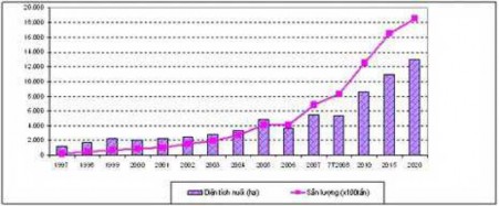 Hình 2 1 Diễn biến diện tích và sản lượng cá tra ở vùng ĐBSCL giai đoạn 1