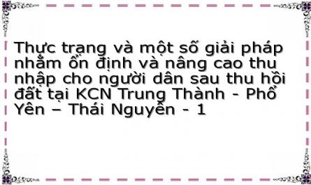 Thực trạng và một số giải pháp nhằm ổn định và nâng cao thu nhập cho người dân sau thu hồi đất tại KCN Trung Thành - Phổ Yên – Thái Nguyên - 1