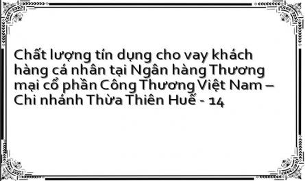 Chất lượng tín dụng cho vay khách hàng cá nhân tại Ngân hàng Thương mại cổ phần Công Thương Việt Nam – Chi nhánh Thừa Thiên Huế - 14