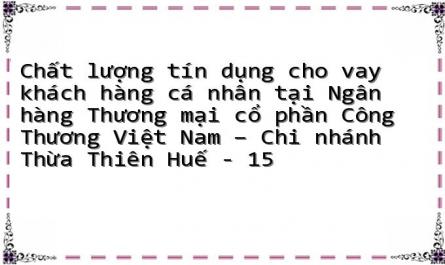 Chất lượng tín dụng cho vay khách hàng cá nhân tại Ngân hàng Thương mại cổ phần Công Thương Việt Nam – Chi nhánh Thừa Thiên Huế - 15