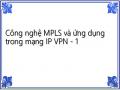 Công nghệ MPLS và ứng dụng trong mạng IP VPN