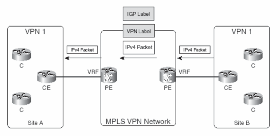 Hình 3 21 Chuyển tiếp gói trong mạng MPLS VPN CHƯƠNG 4 ỨNG DỤNG CỦA MPLS TRONG 1