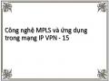 Công nghệ MPLS và ứng dụng trong mạng IP VPN - 15