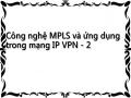Công nghệ MPLS và ứng dụng trong mạng IP VPN - 2