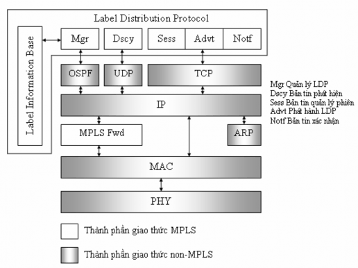 Hình 2 10 Quan hệ giữa các LDP với các giao thức khác Một kết nối TCP được 4