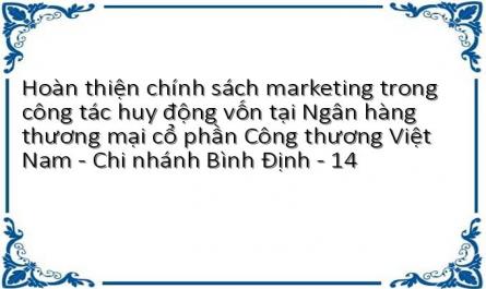 Hoàn thiện chính sách marketing trong công tác huy động vốn tại Ngân hàng thương mại cổ phần Công thương Việt Nam - Chi nhánh Bình Định - 14