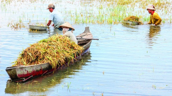 Ảnh phụ lục 7 7 Nhiều địa phương kiến nghị Chính phủ NHCSXH tiếp tục quan 3