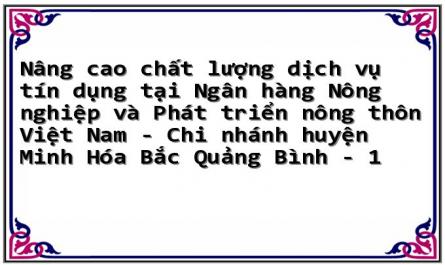 Nâng cao chất lượng dịch vụ tín dụng tại Ngân hàng Nông nghiệp và Phát triển nông thôn Việt Nam - Chi nhánh huyện Minh Hóa Bắc Quảng Bình - 1