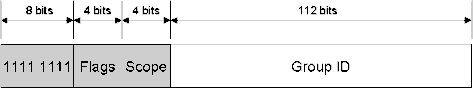 Hình 4 5 Mô tả cấu trúc của địa chỉ Multicast Các trường trong địa chỉ 3