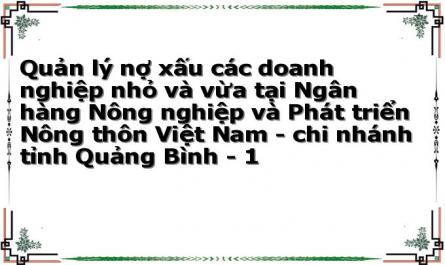 Quản lý nợ xấu các doanh nghiệp nhỏ và vừa tại Ngân hàng Nông nghiệp và Phát triển Nông thôn Việt Nam - chi nhánh tỉnh Quảng Bình - 1