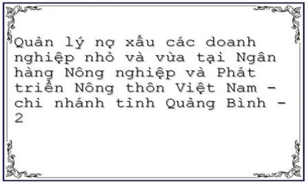 Quản lý nợ xấu các doanh nghiệp nhỏ và vừa tại Ngân hàng Nông nghiệp và Phát triển Nông thôn Việt Nam - chi nhánh tỉnh Quảng Bình - 2