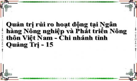 Quản trị rủi ro hoạt động tại Ngân hàng Nông nghiệp và Phát triển Nông thôn Việt Nam - Chi nhánh tỉnh Quảng Trị - 15