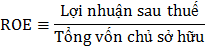 Lợi nhuận sau thuế trên tổng tài sản và lợi nhuận sau thuế trên tổng vốn 2