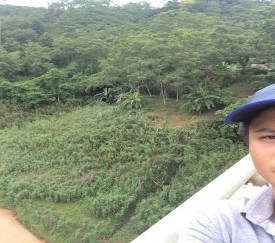 Hình ảnh KS tại xã Đà Vị Hình ảnh KS tại hồ thủy điện TQuang Hình ảnh 1