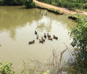 Hình ảnh KS tại xã Thượng Nông Hình ảnh KS tại xã Yên Hoa Hình ảnh KS 3