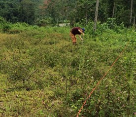 Hình ảnh KS tại xã Yên Hoa Hình ảnh KS tại trợ trung tâm xã Sơn Phú Hình 4