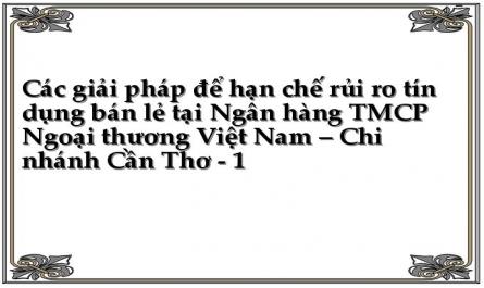 Các giải pháp để hạn chế rủi ro tín dụng bán lẻ tại Ngân hàng TMCP Ngoại thương Việt Nam – Chi nhánh Cần Thơ - 1