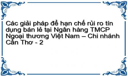 Các giải pháp để hạn chế rủi ro tín dụng bán lẻ tại Ngân hàng TMCP Ngoại thương Việt Nam – Chi nhánh Cần Thơ - 2