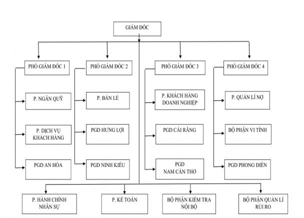 Chức năng nhiệm vụ Giám đốc Điều hành lãnh đạo chịu mọi trách nhiệm 1